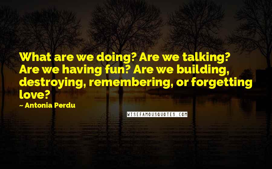 Antonia Perdu Quotes: What are we doing? Are we talking? Are we having fun? Are we building, destroying, remembering, or forgetting love?