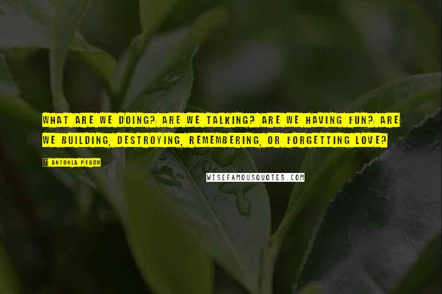 Antonia Perdu Quotes: What are we doing? Are we talking? Are we having fun? Are we building, destroying, remembering, or forgetting love?