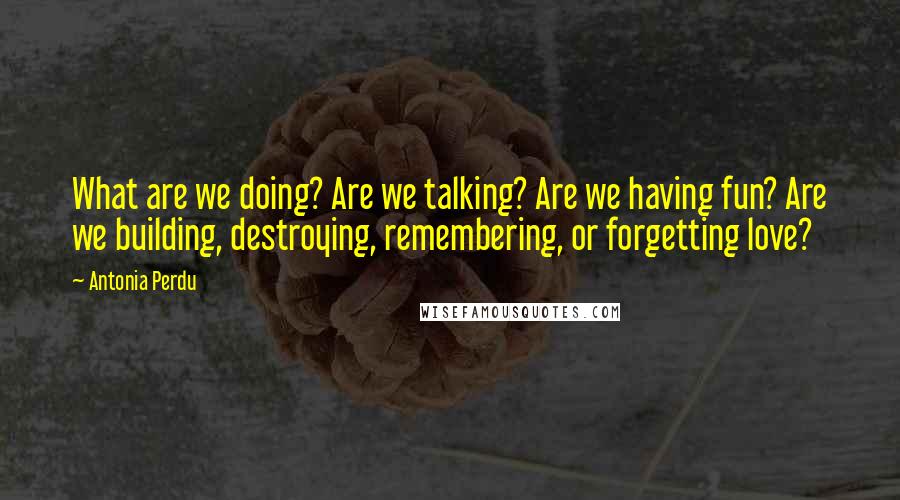 Antonia Perdu Quotes: What are we doing? Are we talking? Are we having fun? Are we building, destroying, remembering, or forgetting love?