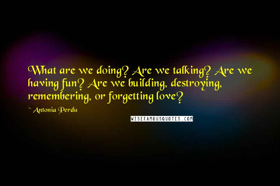 Antonia Perdu Quotes: What are we doing? Are we talking? Are we having fun? Are we building, destroying, remembering, or forgetting love?