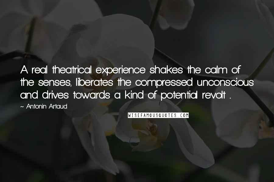 Antonin Artaud Quotes: A real theatrical experience shakes the calm of the senses, liberates the compressed unconscious and drives towards a kind of potential revolt ...
