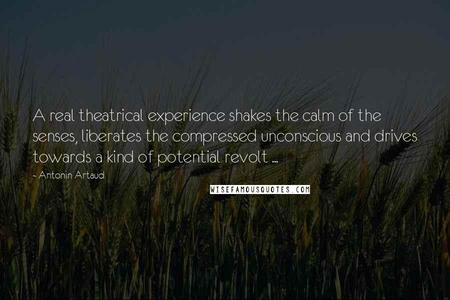Antonin Artaud Quotes: A real theatrical experience shakes the calm of the senses, liberates the compressed unconscious and drives towards a kind of potential revolt ...
