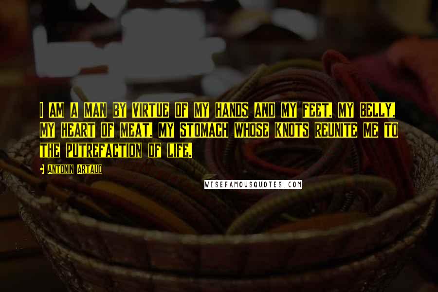 Antonin Artaud Quotes: I am a man by virtue of my hands and my feet, my belly, my heart of meat, my stomach whose knots reunite me to the putrefaction of life.