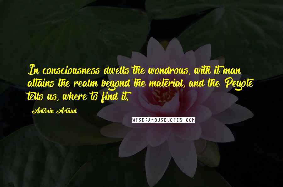 Antonin Artaud Quotes: In consciousness dwells the wondrous, with it man attains the realm beyond the material, and the Peyote tells us, where to find it.