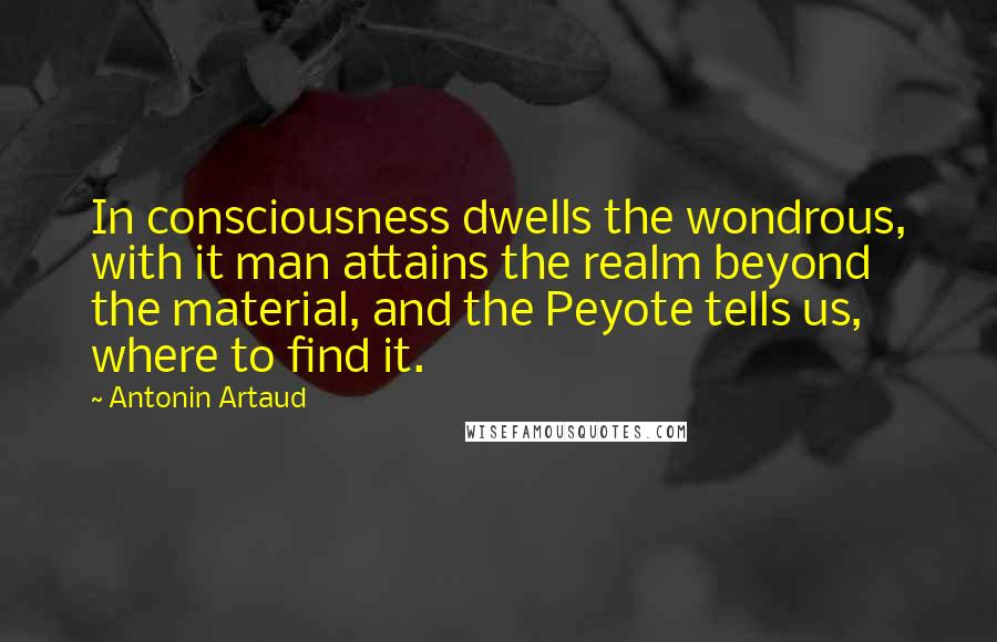 Antonin Artaud Quotes: In consciousness dwells the wondrous, with it man attains the realm beyond the material, and the Peyote tells us, where to find it.