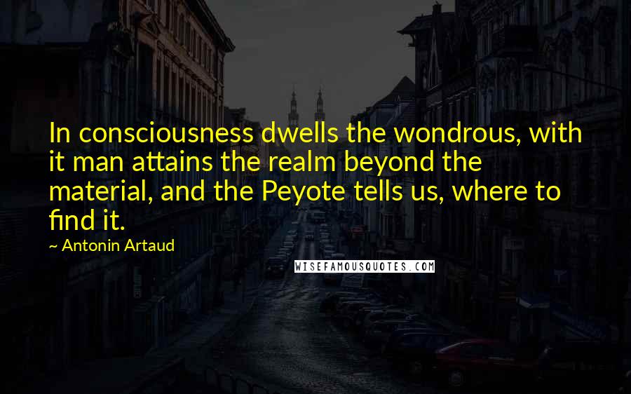 Antonin Artaud Quotes: In consciousness dwells the wondrous, with it man attains the realm beyond the material, and the Peyote tells us, where to find it.