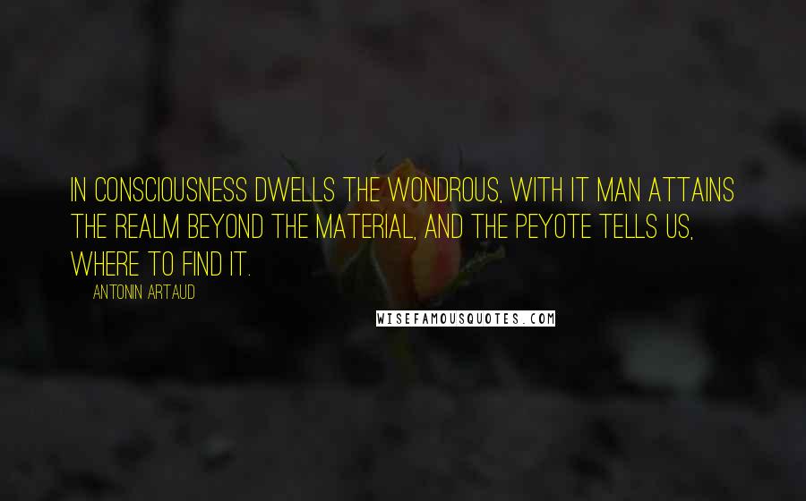 Antonin Artaud Quotes: In consciousness dwells the wondrous, with it man attains the realm beyond the material, and the Peyote tells us, where to find it.