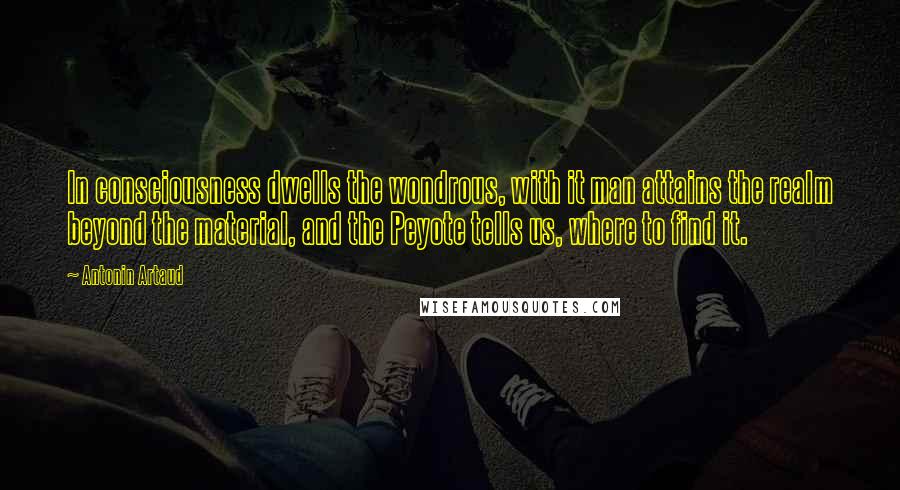 Antonin Artaud Quotes: In consciousness dwells the wondrous, with it man attains the realm beyond the material, and the Peyote tells us, where to find it.