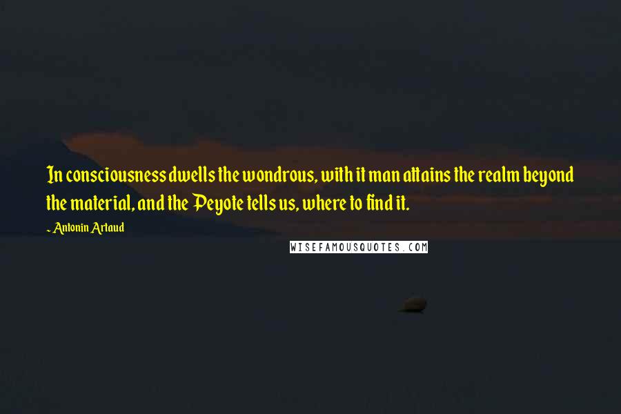 Antonin Artaud Quotes: In consciousness dwells the wondrous, with it man attains the realm beyond the material, and the Peyote tells us, where to find it.