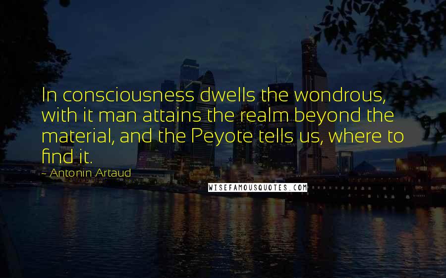 Antonin Artaud Quotes: In consciousness dwells the wondrous, with it man attains the realm beyond the material, and the Peyote tells us, where to find it.