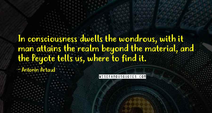 Antonin Artaud Quotes: In consciousness dwells the wondrous, with it man attains the realm beyond the material, and the Peyote tells us, where to find it.