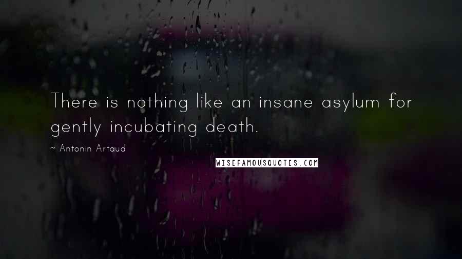 Antonin Artaud Quotes: There is nothing like an insane asylum for gently incubating death.