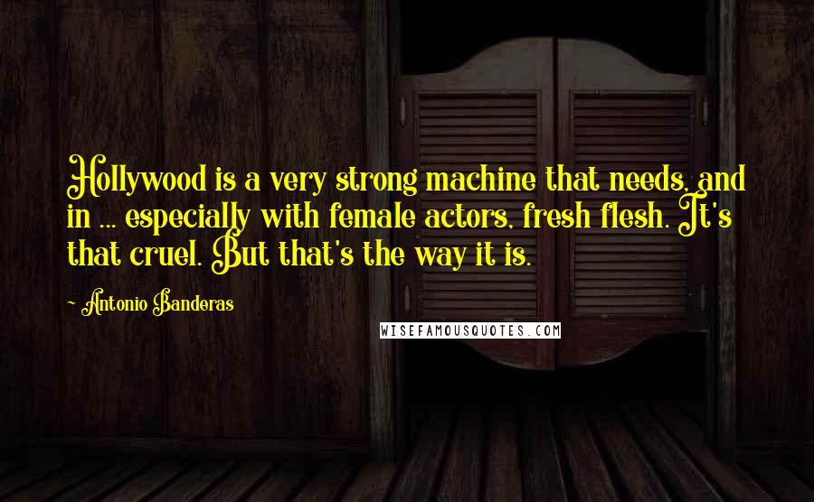 Antonio Banderas Quotes: Hollywood is a very strong machine that needs, and in ... especially with female actors, fresh flesh. It's that cruel. But that's the way it is.