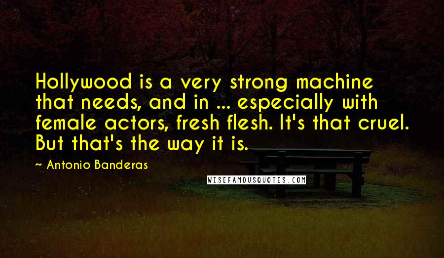Antonio Banderas Quotes: Hollywood is a very strong machine that needs, and in ... especially with female actors, fresh flesh. It's that cruel. But that's the way it is.