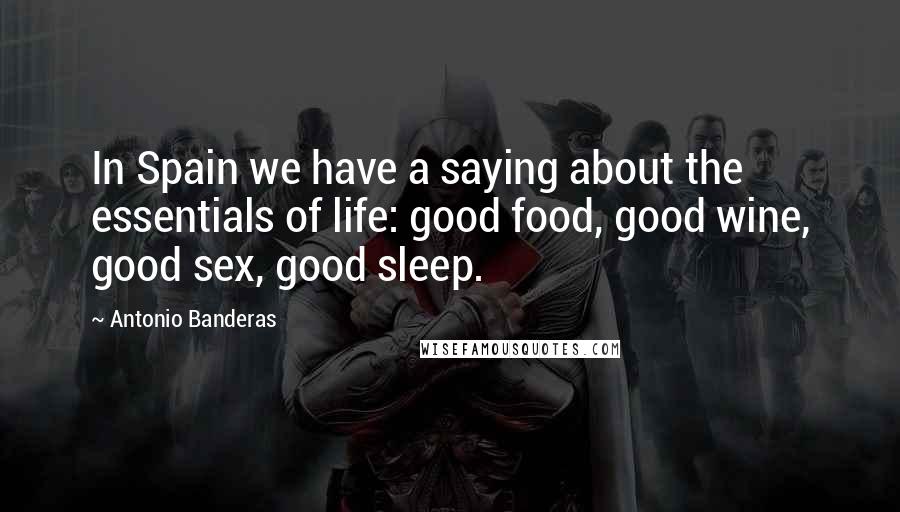 Antonio Banderas Quotes: In Spain we have a saying about the essentials of life: good food, good wine, good sex, good sleep.