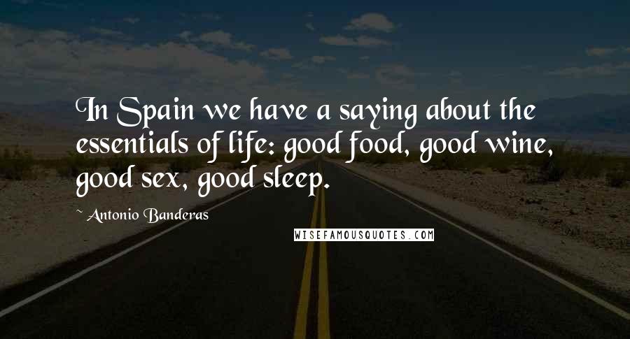 Antonio Banderas Quotes: In Spain we have a saying about the essentials of life: good food, good wine, good sex, good sleep.