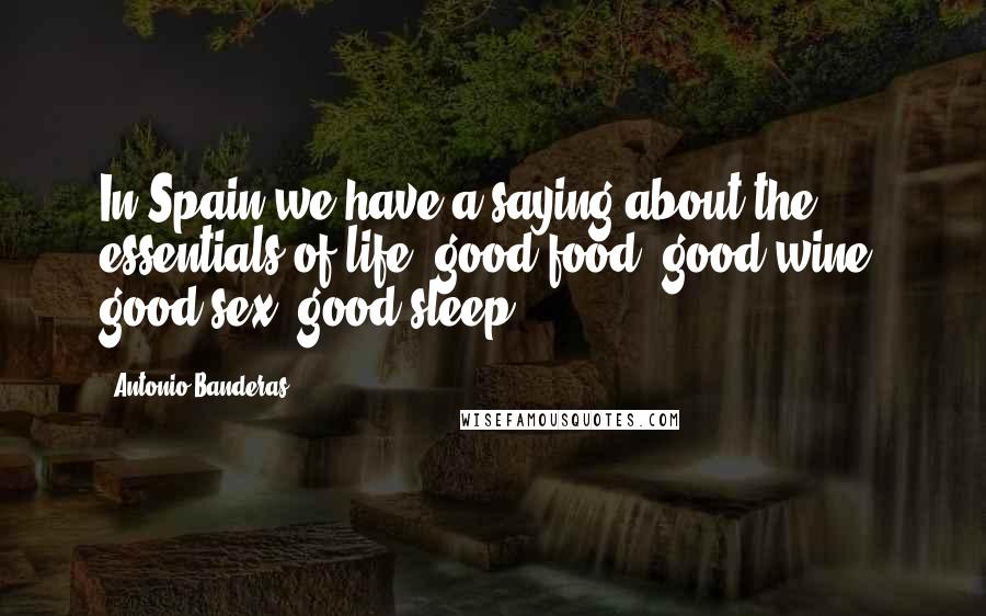 Antonio Banderas Quotes: In Spain we have a saying about the essentials of life: good food, good wine, good sex, good sleep.