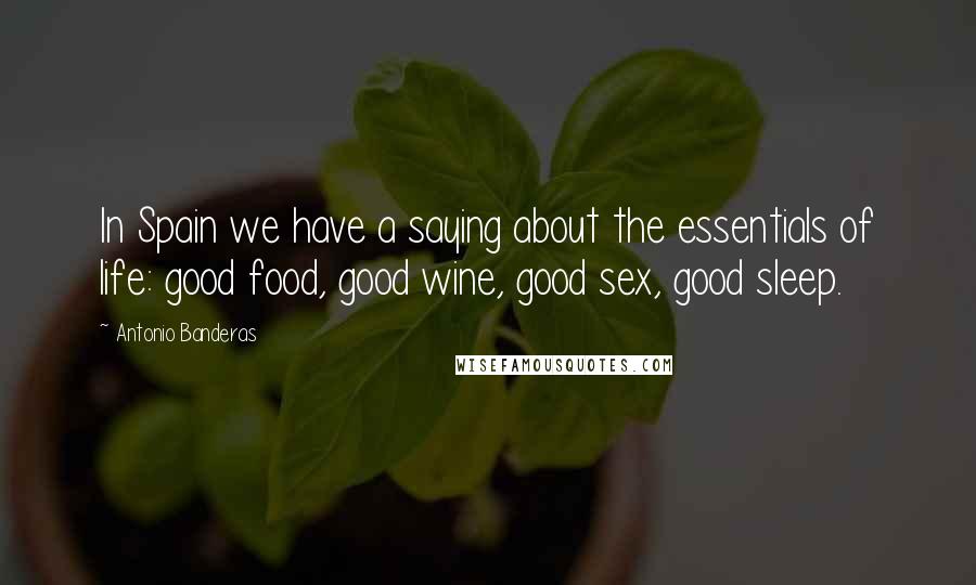 Antonio Banderas Quotes: In Spain we have a saying about the essentials of life: good food, good wine, good sex, good sleep.