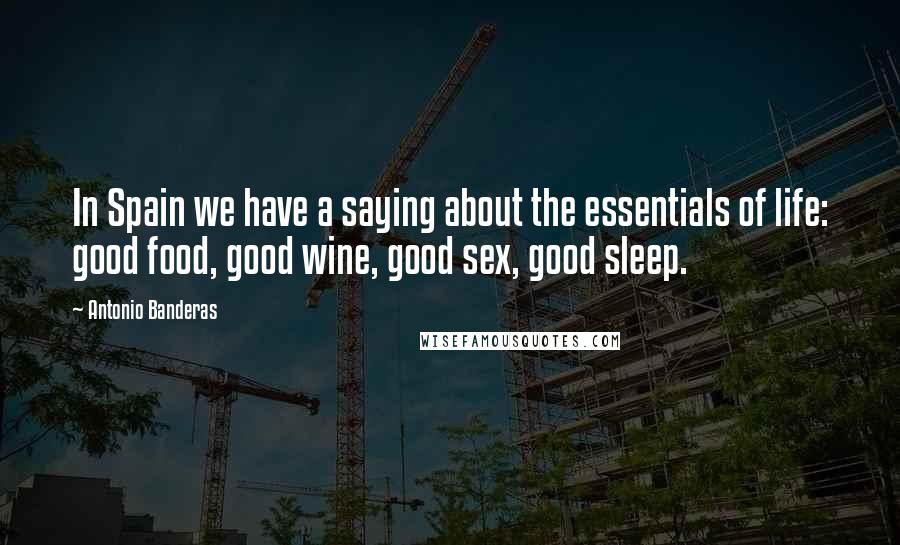Antonio Banderas Quotes: In Spain we have a saying about the essentials of life: good food, good wine, good sex, good sleep.