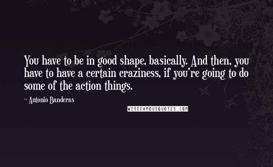 Antonio Banderas Quotes: You have to be in good shape, basically. And then, you have to have a certain craziness, if you're going to do some of the action things.