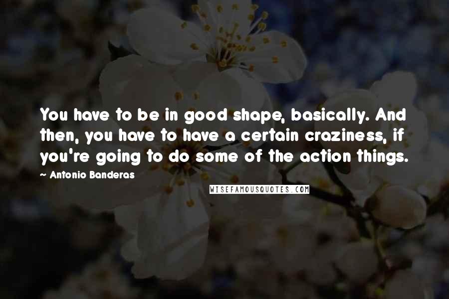 Antonio Banderas Quotes: You have to be in good shape, basically. And then, you have to have a certain craziness, if you're going to do some of the action things.