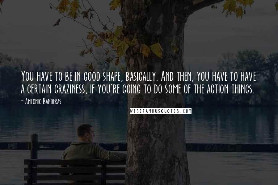 Antonio Banderas Quotes: You have to be in good shape, basically. And then, you have to have a certain craziness, if you're going to do some of the action things.