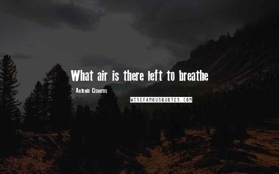 Antonio Cisneros Quotes: What air is there left to breathe
