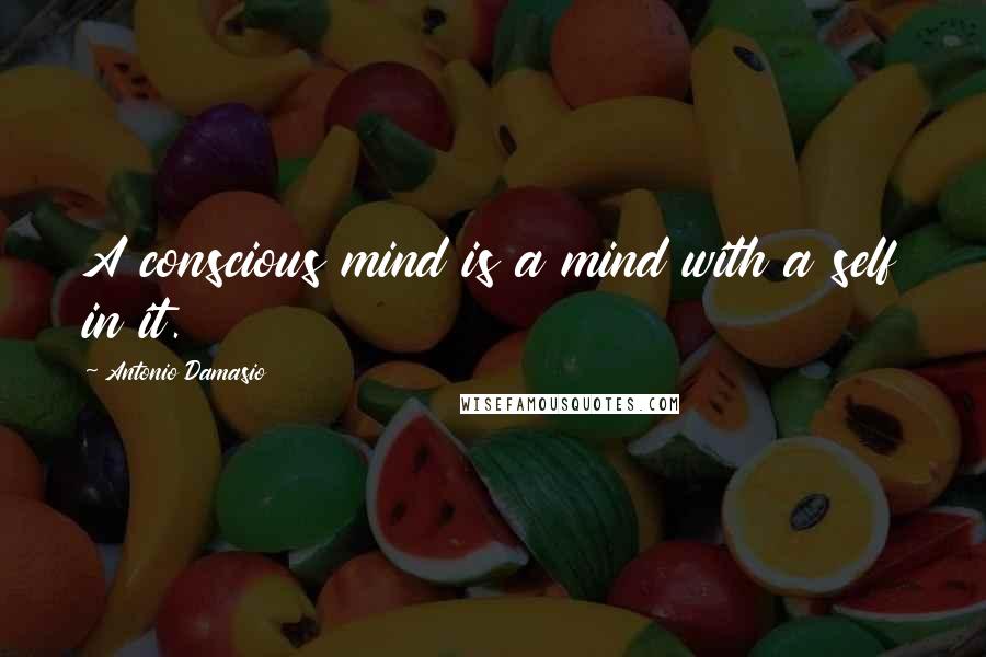 Antonio Damasio Quotes: A conscious mind is a mind with a self in it.