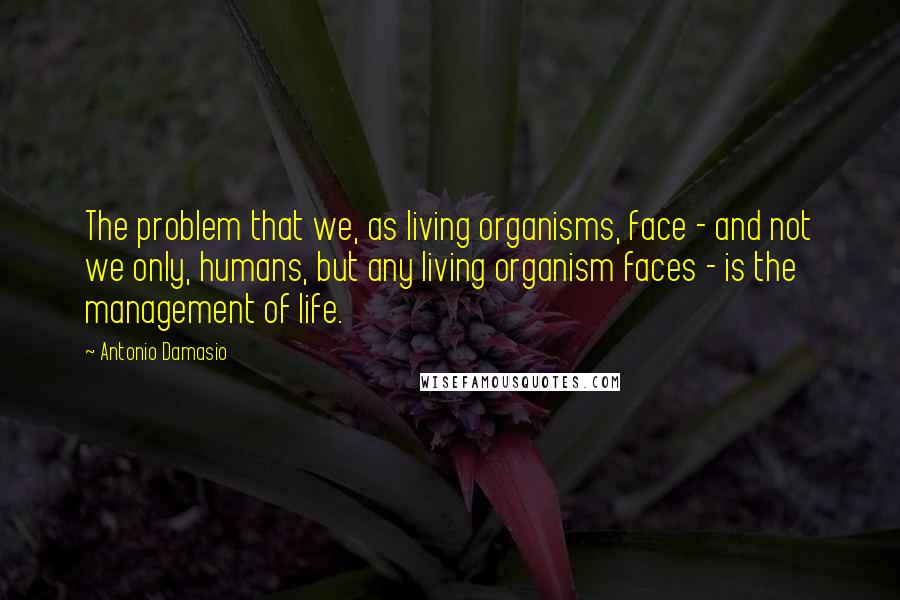 Antonio Damasio Quotes: The problem that we, as living organisms, face - and not we only, humans, but any living organism faces - is the management of life.