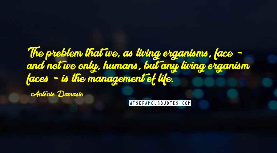 Antonio Damasio Quotes: The problem that we, as living organisms, face - and not we only, humans, but any living organism faces - is the management of life.