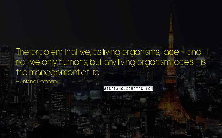 Antonio Damasio Quotes: The problem that we, as living organisms, face - and not we only, humans, but any living organism faces - is the management of life.