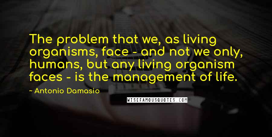 Antonio Damasio Quotes: The problem that we, as living organisms, face - and not we only, humans, but any living organism faces - is the management of life.