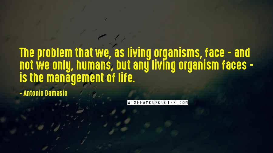 Antonio Damasio Quotes: The problem that we, as living organisms, face - and not we only, humans, but any living organism faces - is the management of life.