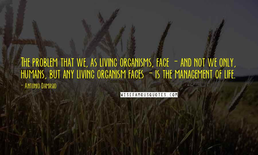 Antonio Damasio Quotes: The problem that we, as living organisms, face - and not we only, humans, but any living organism faces - is the management of life.