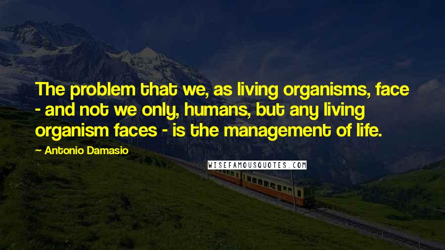 Antonio Damasio Quotes: The problem that we, as living organisms, face - and not we only, humans, but any living organism faces - is the management of life.