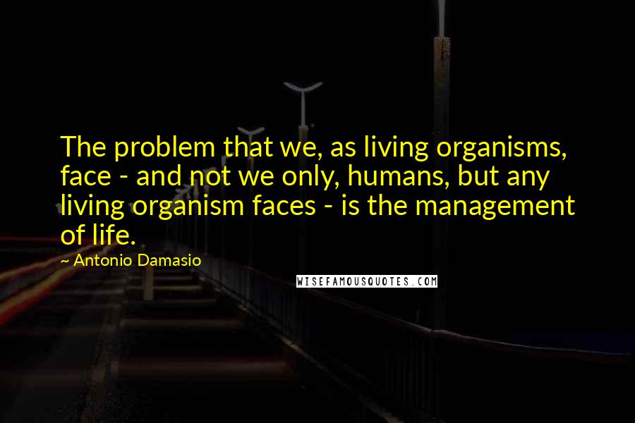 Antonio Damasio Quotes: The problem that we, as living organisms, face - and not we only, humans, but any living organism faces - is the management of life.