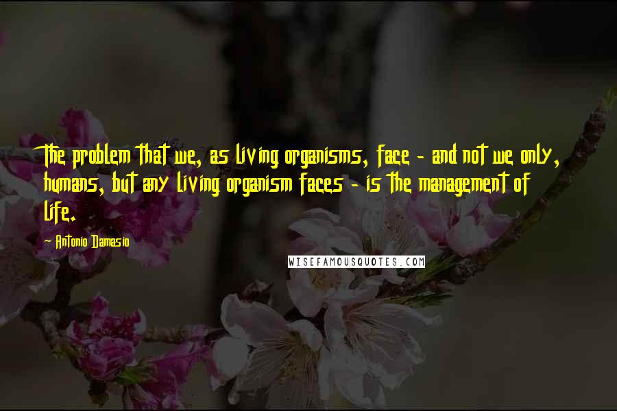 Antonio Damasio Quotes: The problem that we, as living organisms, face - and not we only, humans, but any living organism faces - is the management of life.