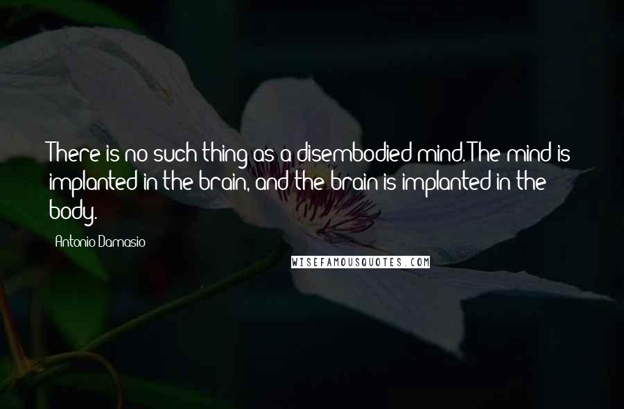 Antonio Damasio Quotes: There is no such thing as a disembodied mind. The mind is implanted in the brain, and the brain is implanted in the body.