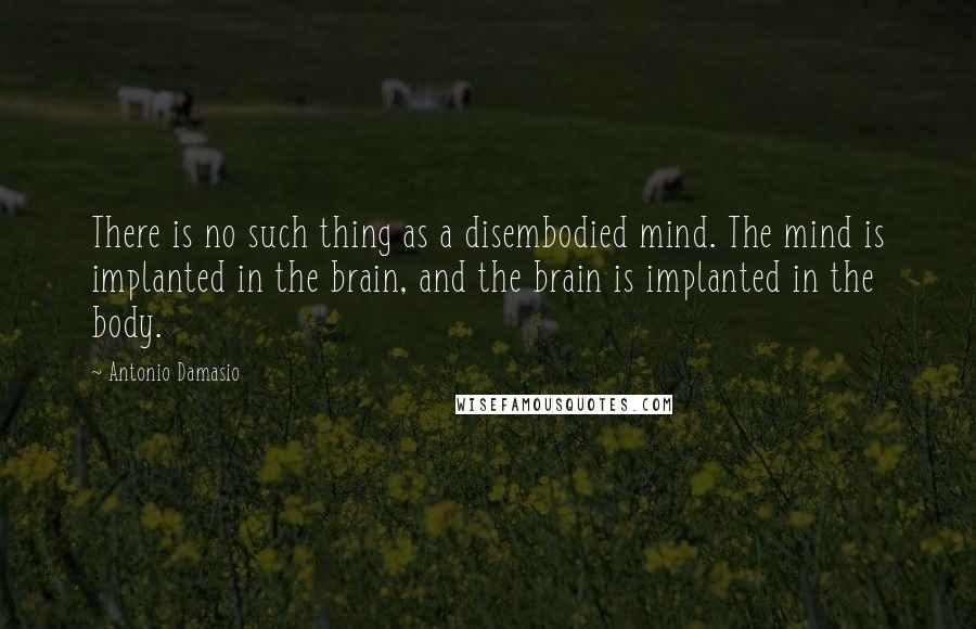 Antonio Damasio Quotes: There is no such thing as a disembodied mind. The mind is implanted in the brain, and the brain is implanted in the body.