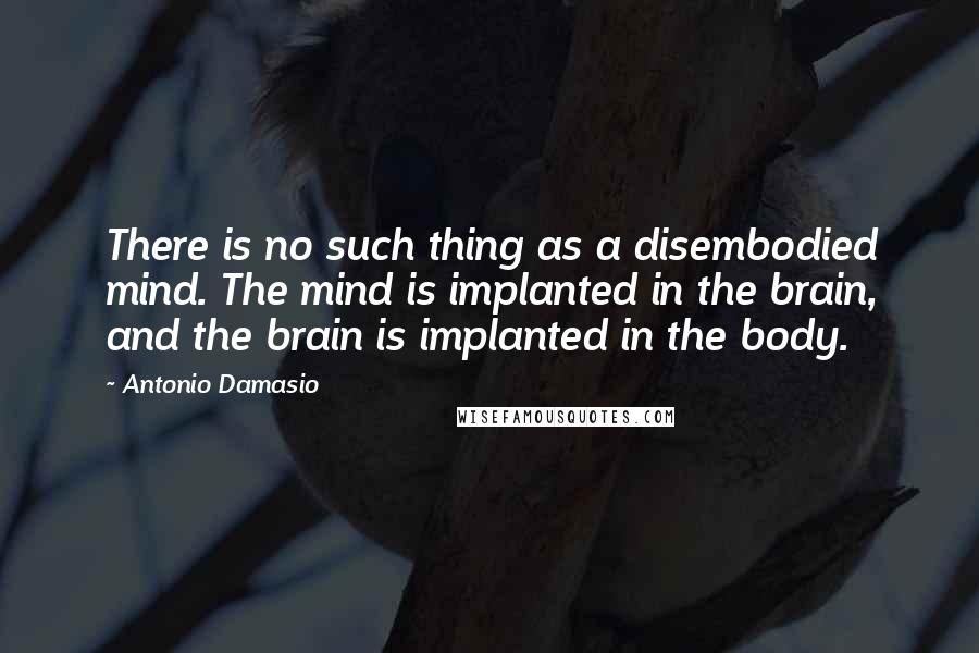 Antonio Damasio Quotes: There is no such thing as a disembodied mind. The mind is implanted in the brain, and the brain is implanted in the body.