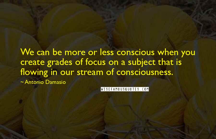 Antonio Damasio Quotes: We can be more or less conscious when you create grades of focus on a subject that is flowing in our stream of consciousness.