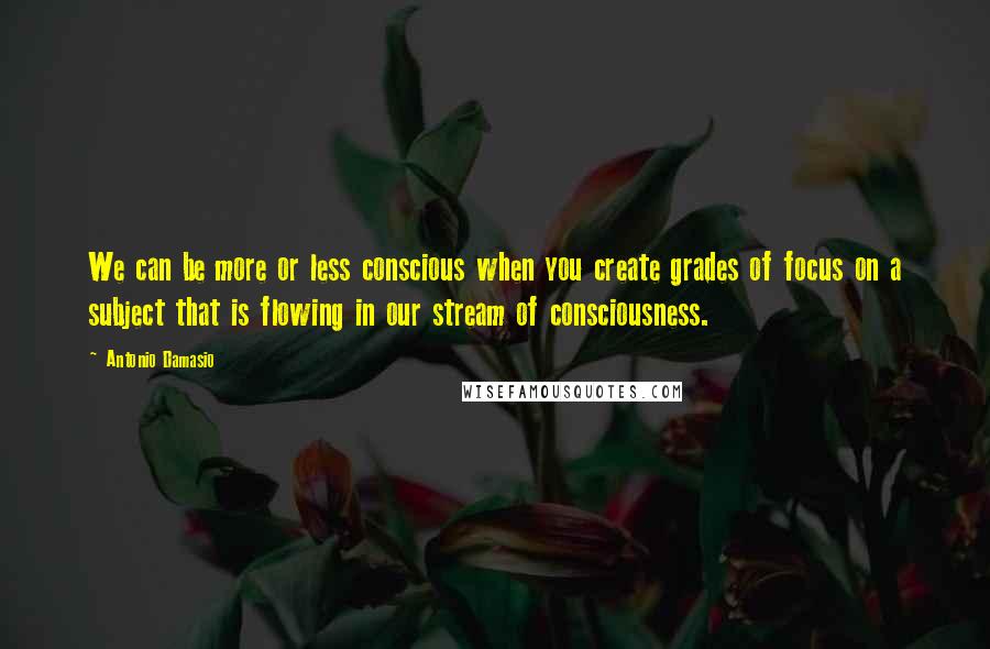 Antonio Damasio Quotes: We can be more or less conscious when you create grades of focus on a subject that is flowing in our stream of consciousness.
