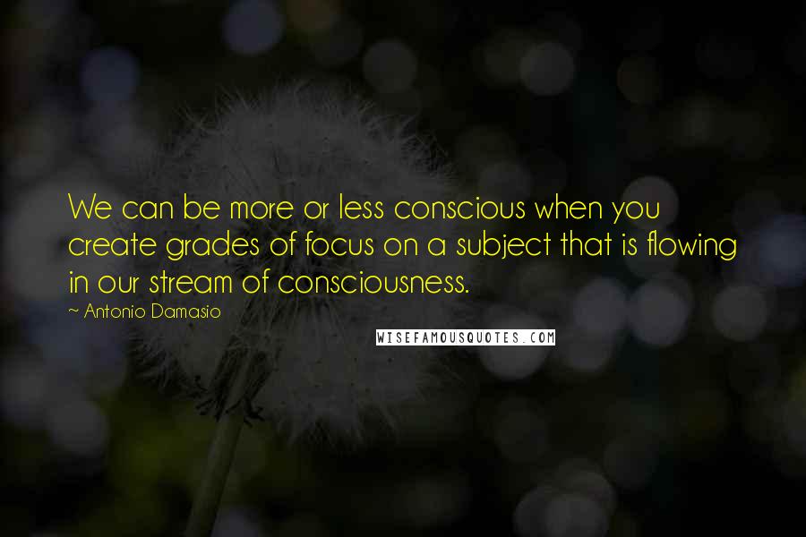 Antonio Damasio Quotes: We can be more or less conscious when you create grades of focus on a subject that is flowing in our stream of consciousness.