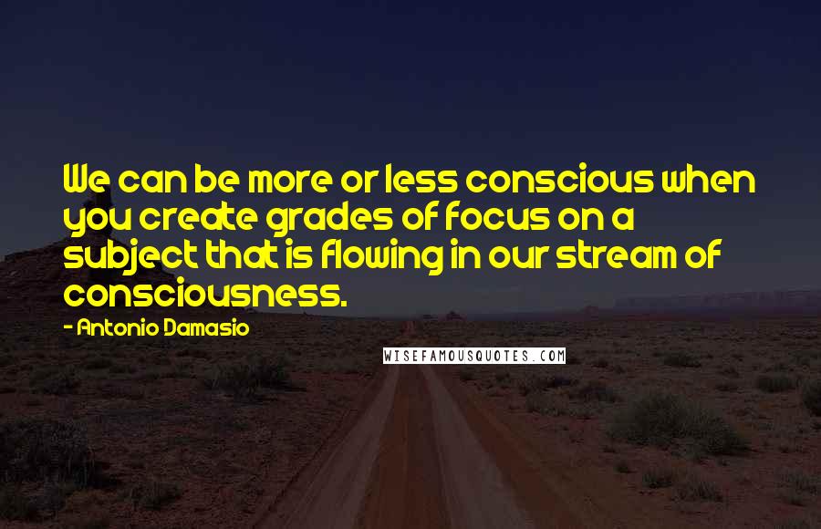 Antonio Damasio Quotes: We can be more or less conscious when you create grades of focus on a subject that is flowing in our stream of consciousness.