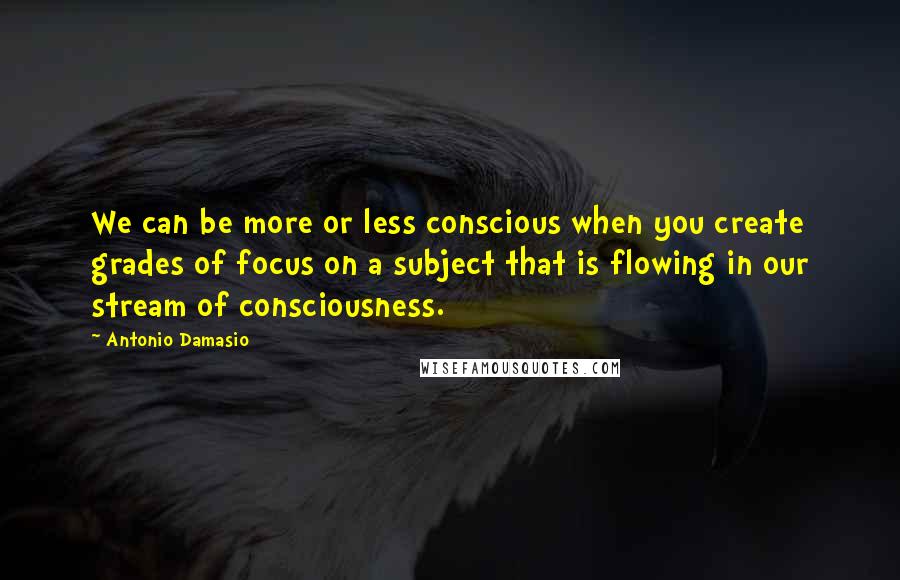 Antonio Damasio Quotes: We can be more or less conscious when you create grades of focus on a subject that is flowing in our stream of consciousness.