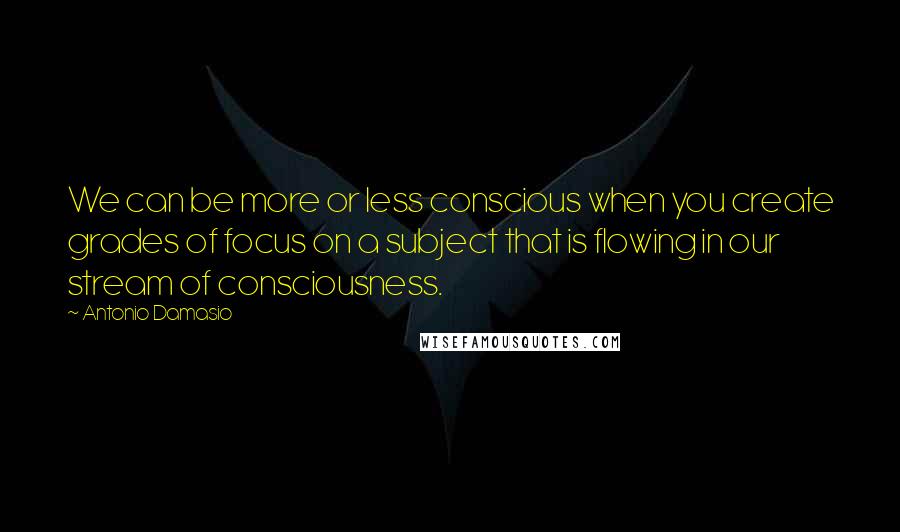 Antonio Damasio Quotes: We can be more or less conscious when you create grades of focus on a subject that is flowing in our stream of consciousness.