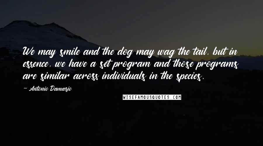 Antonio Damasio Quotes: We may smile and the dog may wag the tail, but in essence, we have a set program and those programs are similar across individuals in the species.