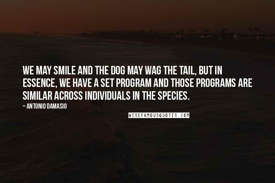 Antonio Damasio Quotes: We may smile and the dog may wag the tail, but in essence, we have a set program and those programs are similar across individuals in the species.
