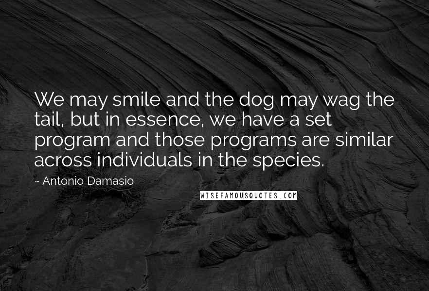 Antonio Damasio Quotes: We may smile and the dog may wag the tail, but in essence, we have a set program and those programs are similar across individuals in the species.