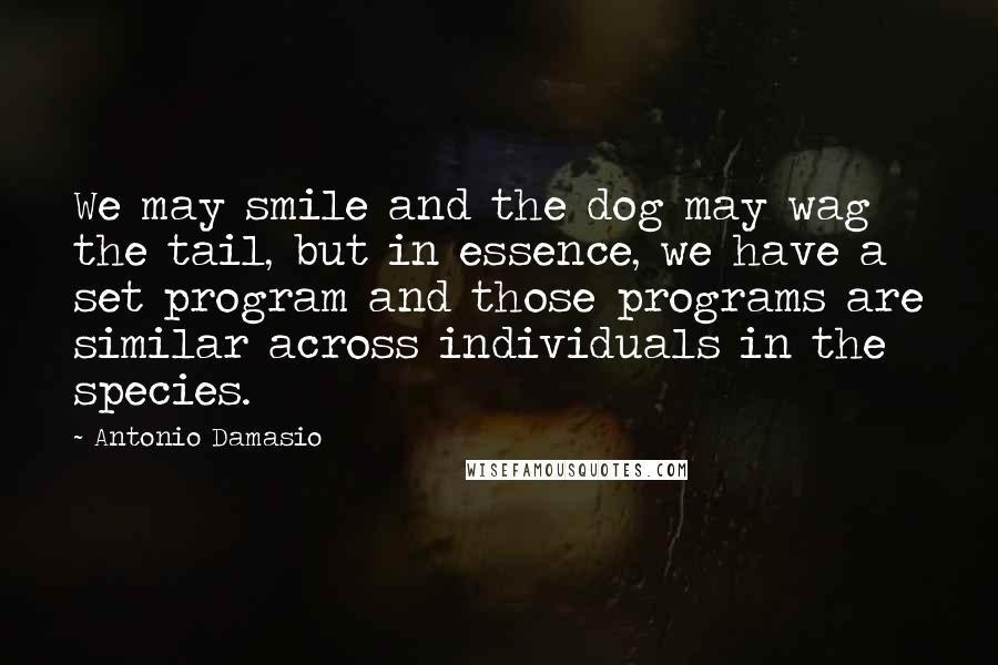 Antonio Damasio Quotes: We may smile and the dog may wag the tail, but in essence, we have a set program and those programs are similar across individuals in the species.